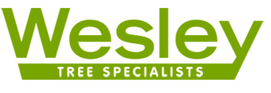 Wesley Tree Specialists